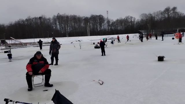 video_2025-12-25_11-06-01 смотреть онлайн