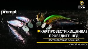 Как провести хищника? Проведите шед! Нестандартные решения. Алексей Ивашков. Anglers Prompt.