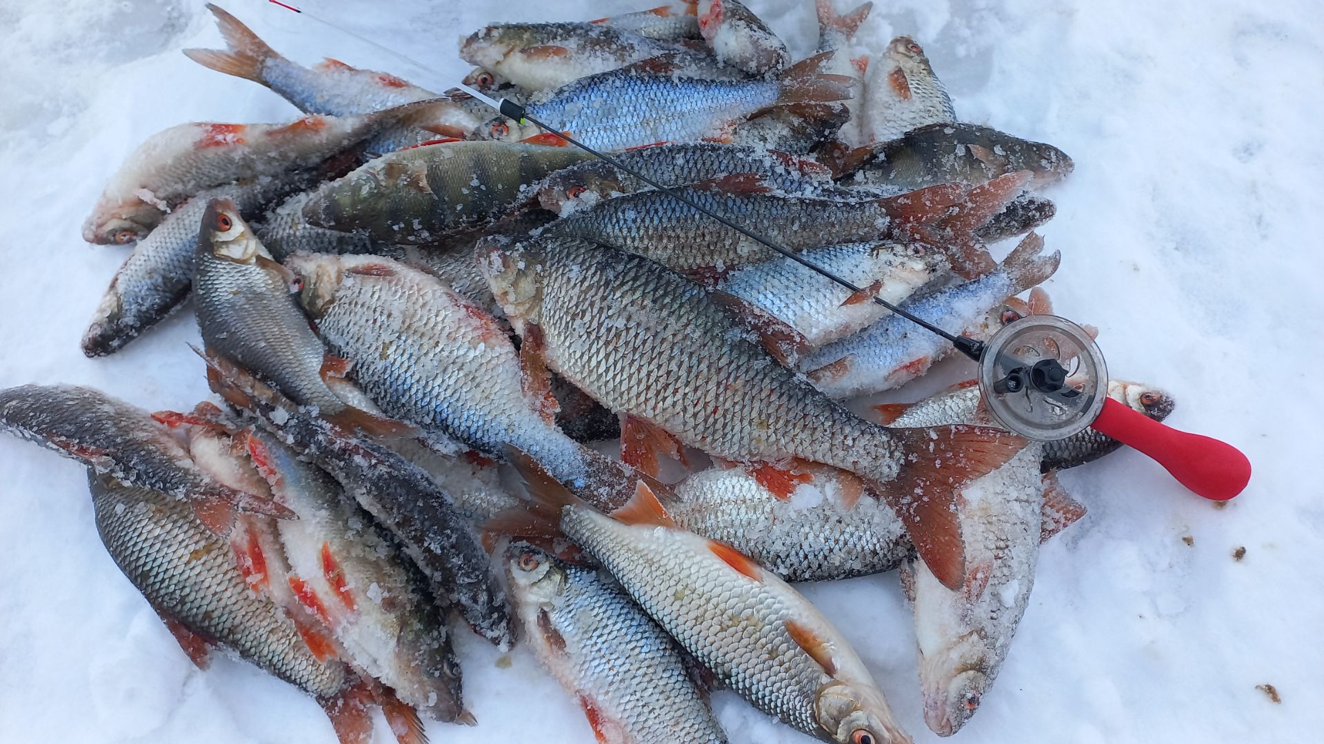 Рыбалка мечты.