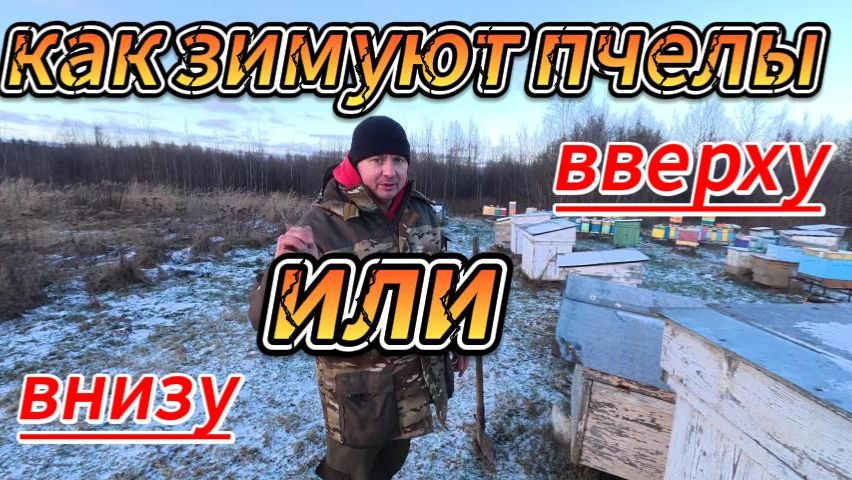 Доброго времени суток хочу ответить на вопросы про зимовку смотреть онлайн