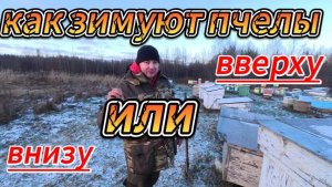 Доброго времени суток хочу ответить на вопросы про зимовку