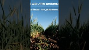 Быть Человеком — Это Чудо! ✨ Песня, которая лечит душу | Slavic Rock 2025