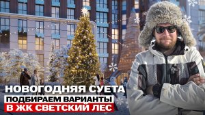 Новогодняя суета. Подбираем варианты в ЖК Светский лес