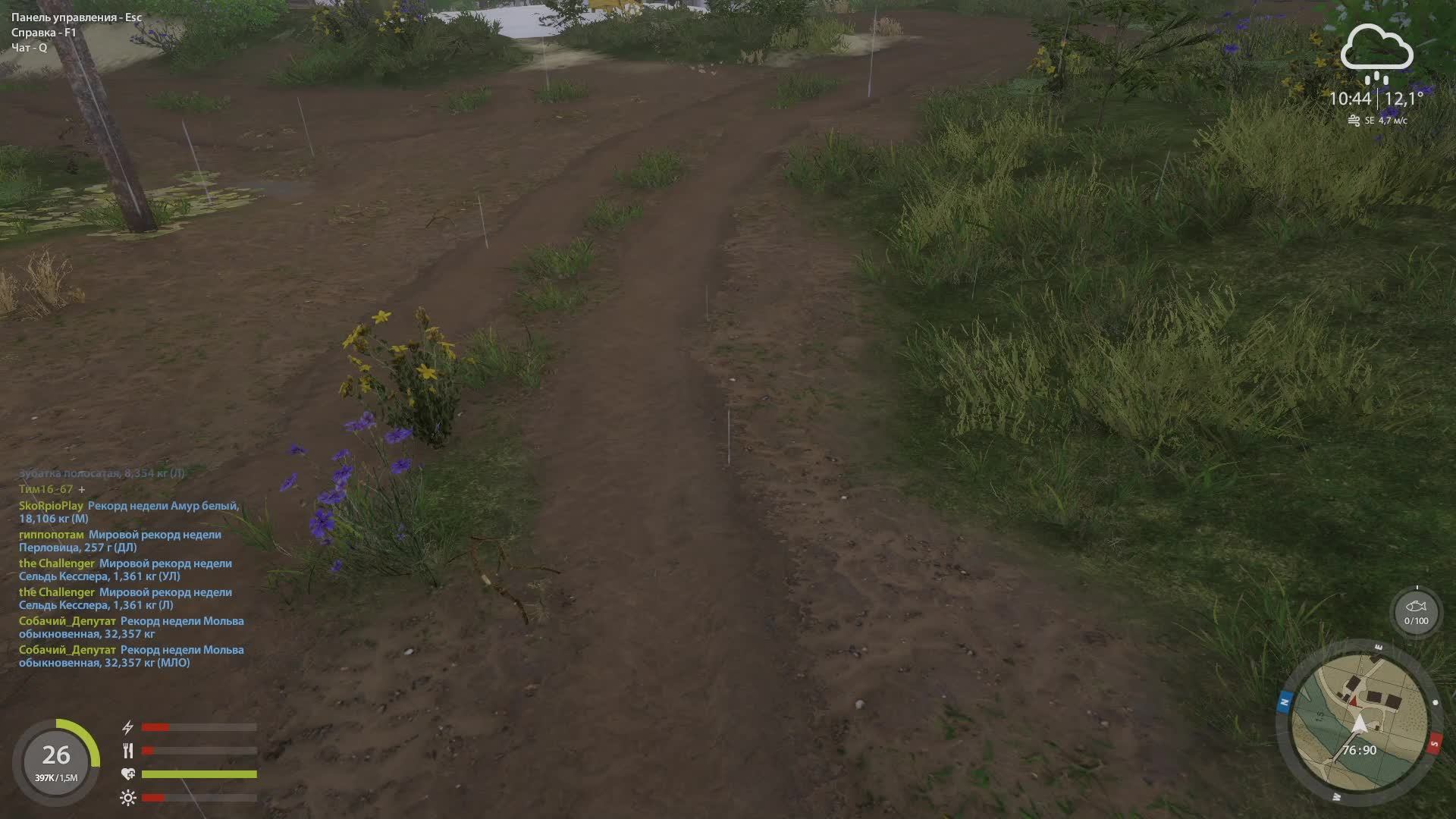 РУССКАЯ РЫБАЛКА 4. РЫБАЛКА ДЛЯ ДУШИ !!! #20.НОВОГОДНИЙ СТРИМ!!! смотреть онлайн