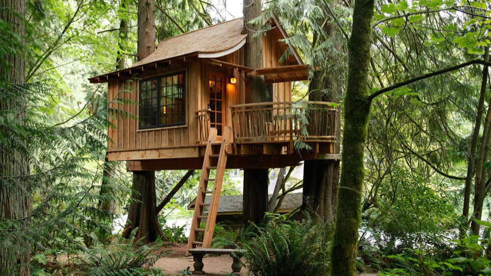 Строю уютный домик на дереве. Бушкрафт