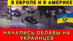 Начались облавы на украинцев в Европе и Америке. Колобок из Одессы