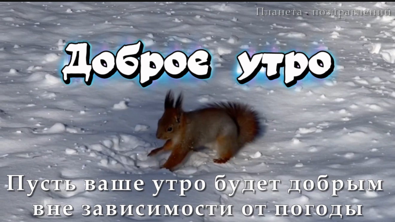 Доброе зимнее утро! Радости в каждом мгновении!