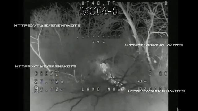 Свежий объективный контроль и уничтоженный Леопард (2).