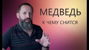 К чему снится МЕДВЕДЬ.