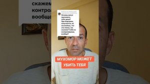 #мухоморныймикродозинг #мухоморы #духовность #самораз