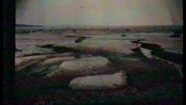 Проблемы охотничьего и других видов туризма  ч.6. Всеволод Воробьев и Иван Ильин Авторский вечер.