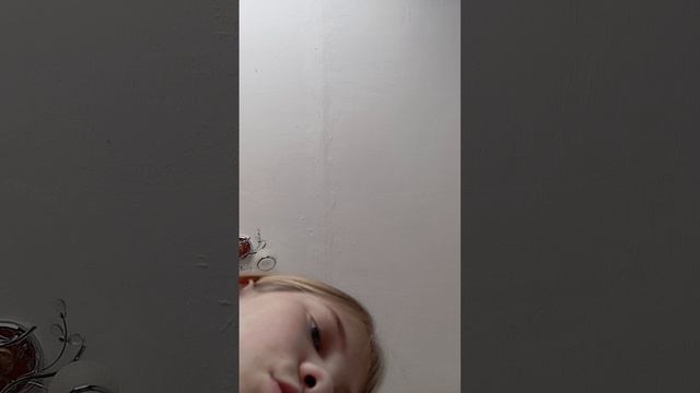 183.mp4 смотреть онлайн