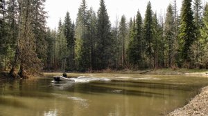 Кладоискательский поход по исчезнувшим поселениям / 1 часть #546