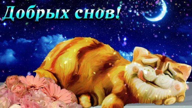 Доброй ночи! смотреть онлайн