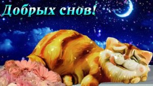 Доброй ночи!