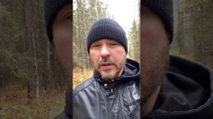 Мухоморный трип: портал в пространстве