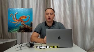 Анатомия осьминогов