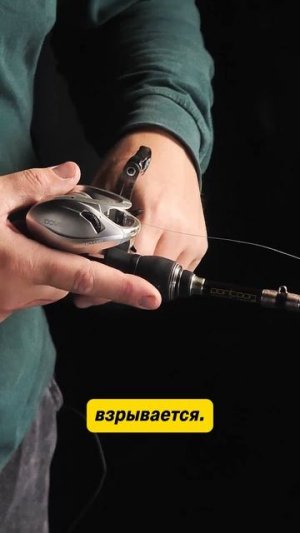 Как провести хищника? Проведите шед!