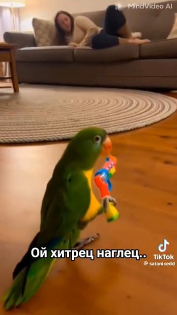 попугай хитрец наглец . такое учудил ... ии творчество. смотреть онлайн