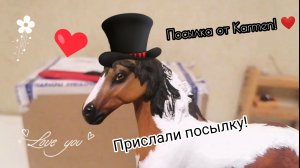 Прислали посылку с конями! 
ПОСЫЛКА ОТ Karmen.
