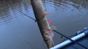 СПИННИНГ НА РЕКЕ. РЫБАЛКА НА ЩУКУ В ДЕКАБРЕ.