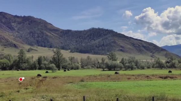 Алтай - Алтай