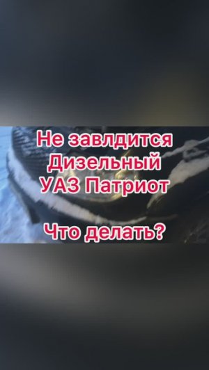 Не заводится дизельный уаз патриот. Двигатель ивеко