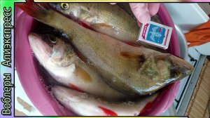 Рыбалка на Окуня. Джиг с моста - Воронежское водохранилище 2025