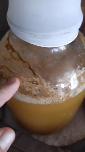 плесень на вине что делать?