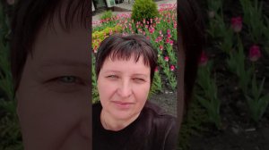 Ранняя роза  Поёт Алексей Кракин