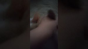 какая погода завтра на улице