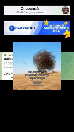 #Жизненная #ситуация, #когда #спросил #дз #в школьном чате?