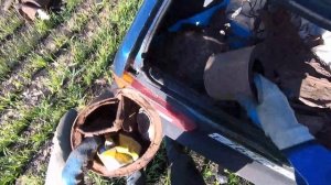 Восемь часов в лесополосе. Металлокоп