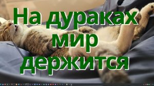 На дураках мир держится.