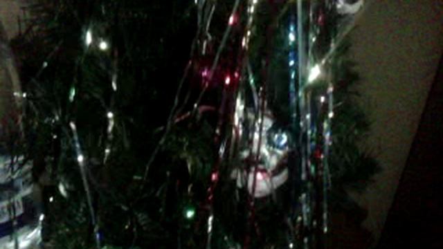 VIDREC0042A.3gp смотреть онлайн