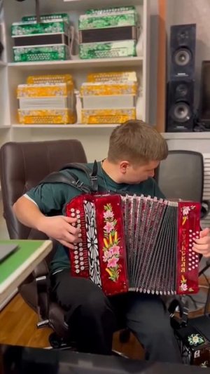 Шикарная гармонь в свободную продажу! Заказ консультация +7-908-182-55-53 Любой доступный мессенджер