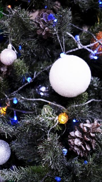 Новогодние опасности для ваших домашних питомцев