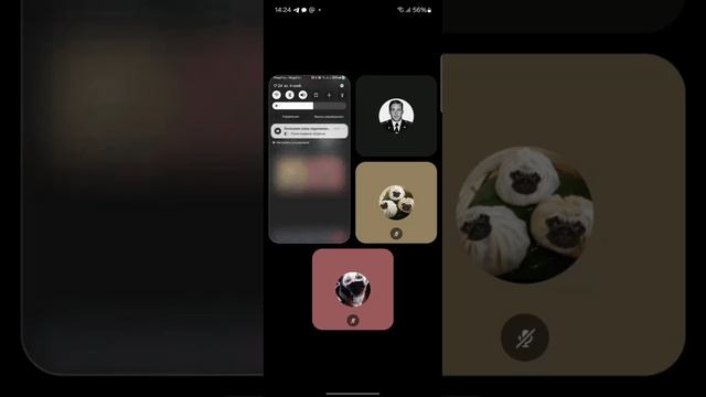 Damir_Azamov