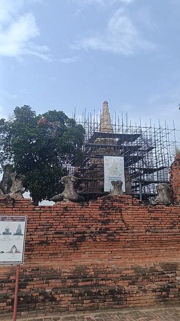 Каждая трещина — история одного года смотреть онлайн