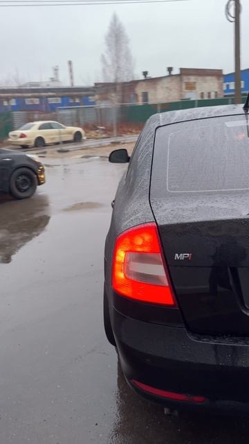 октавия смотреть онлайн