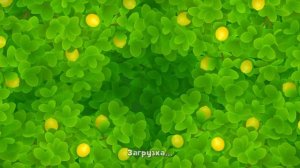 gardenscapes