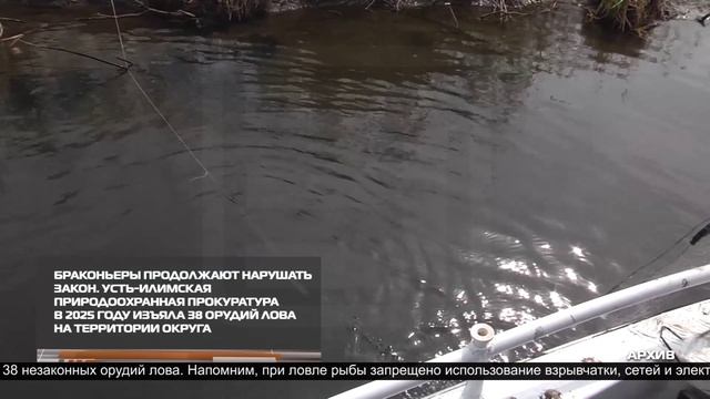 Новости ИРТ 24-12-2025 смотреть онлайн