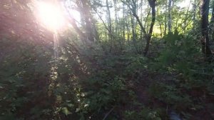 Два выезда пол тонны. Металлокоп. Склад ядохимикатов