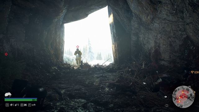 DaysGone #24 Следим за федералами