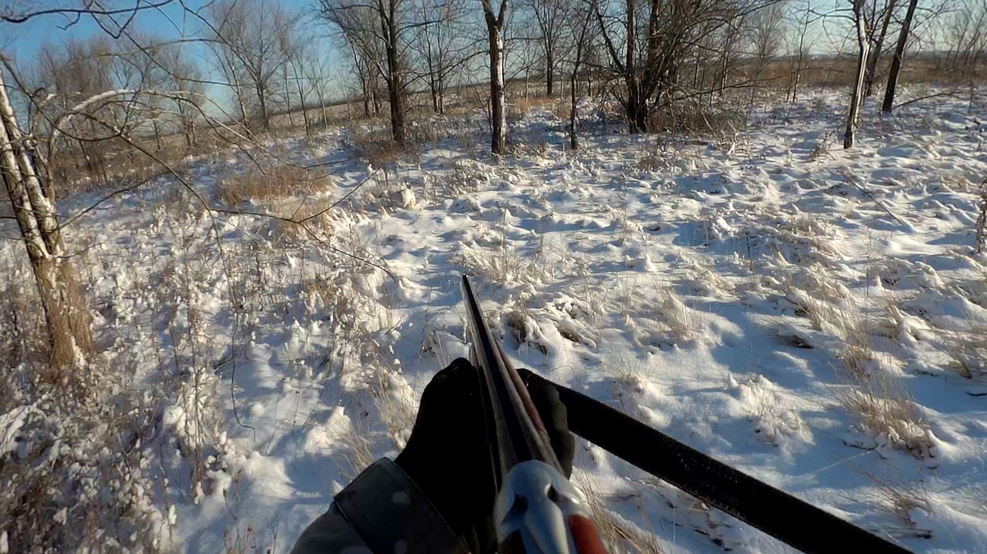 Охота на зайца в декабре 2025г смотреть онлайн