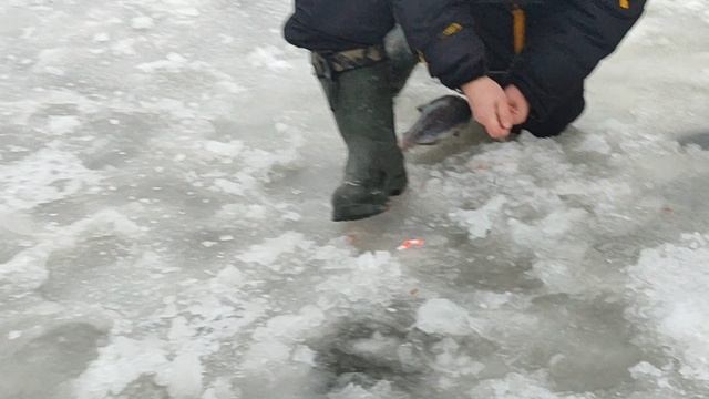 Основной водоём. смотреть онлайн