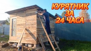 КУРЯТНИК ЗА 24 ЧАСА💥🍒