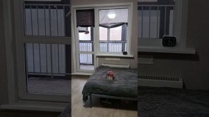 Рабочее место удалëнщицы