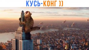 КУСЬ-КОНГ ))) Приколы с котами | Мемозг 1701