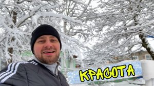 ВЛОГ ! Собака ХАСКИ новый ДРУГ Лисы ! Забрал КЛЮЧИ от НОВОГО ДОМА ! Батя Лёша